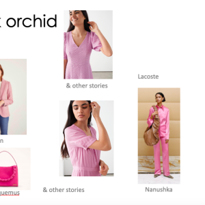 pink-orchid-01