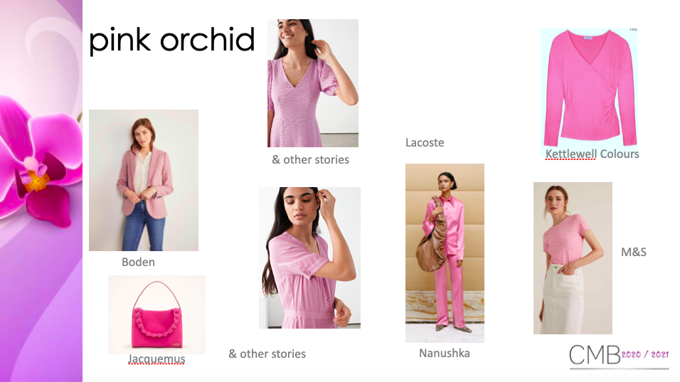 pink-orchid-01